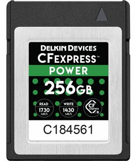 Карта памяти Delkin Devices Power CFexpress Type B 256GB